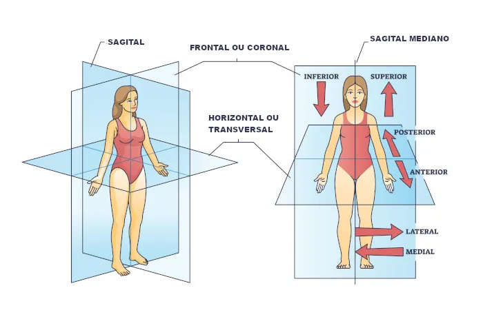 posicao anatomica